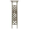 Pergola with Gate 45.7" x 15.7" x 80.3" Gray Solid Firwood